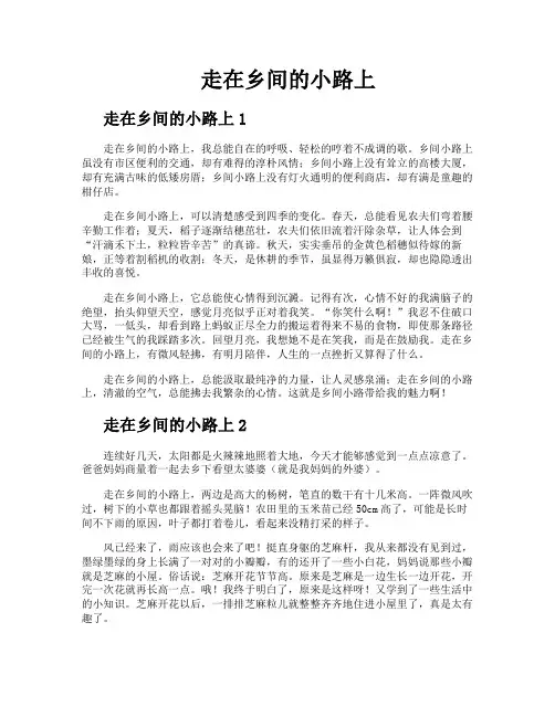 走在乡间的小路上