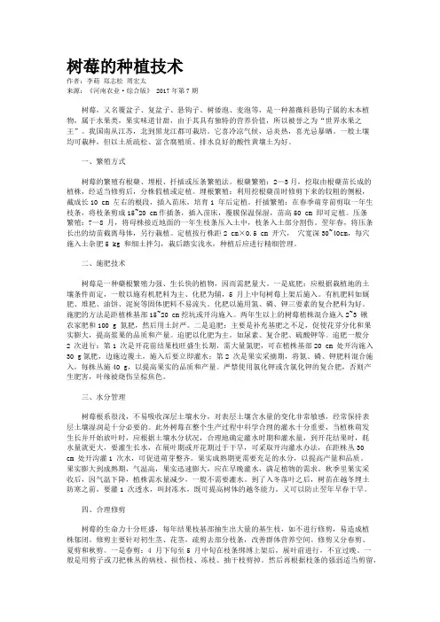 树莓的种植技术