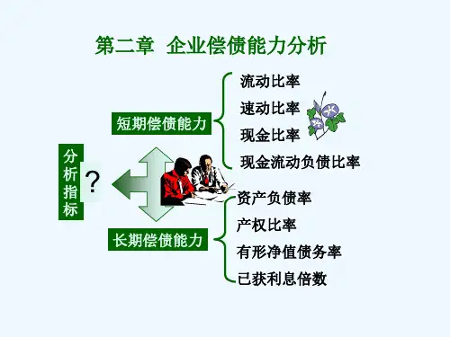 企业偿债能力详细分析PPT(20张)