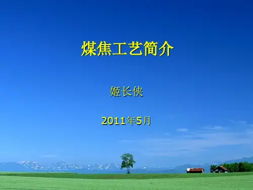 煤焦化工艺简介20110510