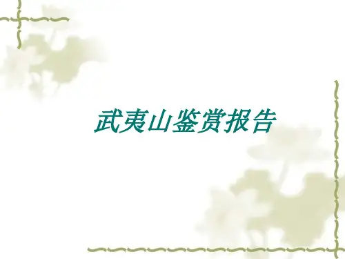 山体景观鉴赏——武夷山鉴赏报告1