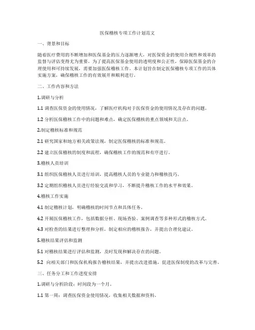 医保稽核专项工作计划范文