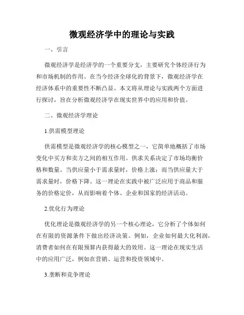 微观经济学中的理论与实践