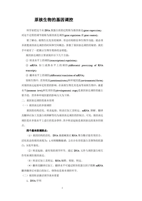 原核生物的基因调控
