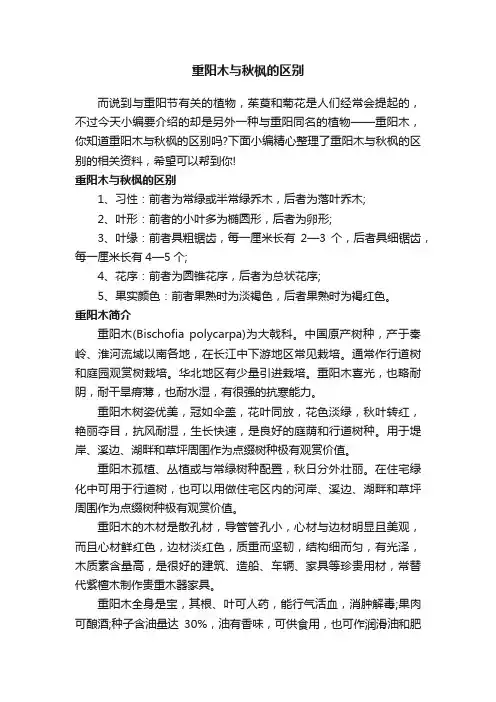 重阳木与秋枫的区别