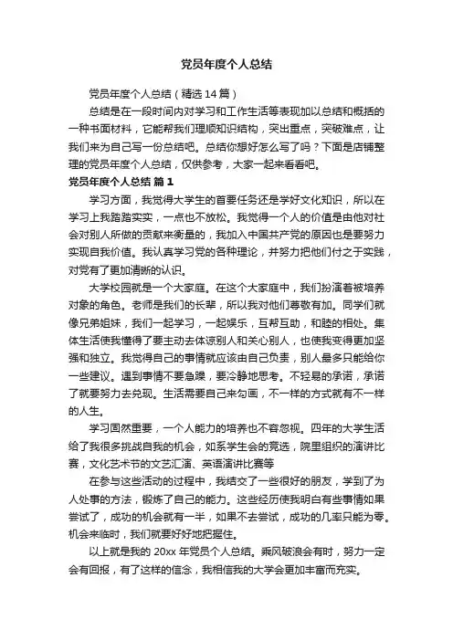 党员年度个人总结