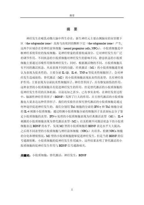 替代激活小胶质细胞通过BDNF信号通路促进神经发生的研究
