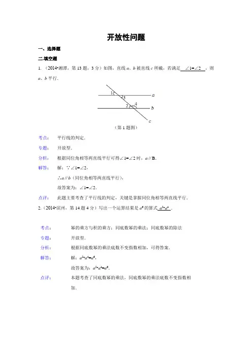2014年全国中考数学试题分类汇编41 开放性问题(含解析)