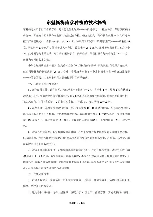 东魁杨梅南移种植的技术杨梅