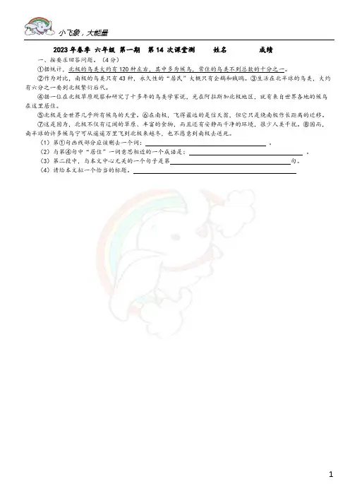 六年级小升初每日一练  堂测(附答案) (14)