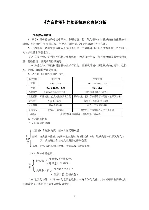 《光合作用》的知识梳理和典例分析