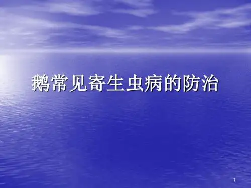 鹅常见寄生病的防治ppt课件