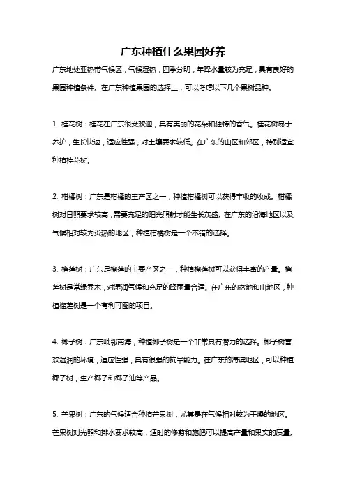 广东种植什么果园好养