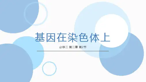 【课件】基因在染色体上说课课件高一下学期生物人教版(2019)必修2