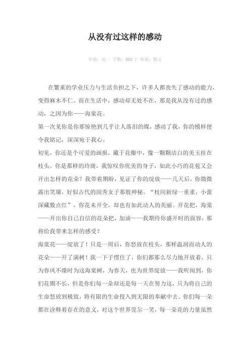 从没有过这样的感动900字作文