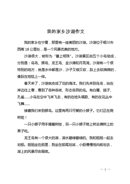 我的家乡沙湖作文