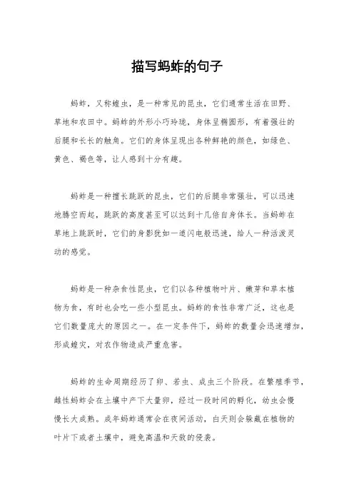 描写蚂蚱的句子