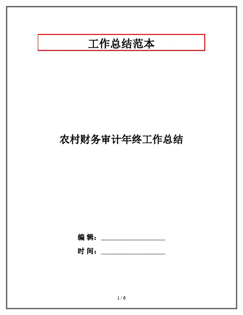 农村财务审计年终工作总结