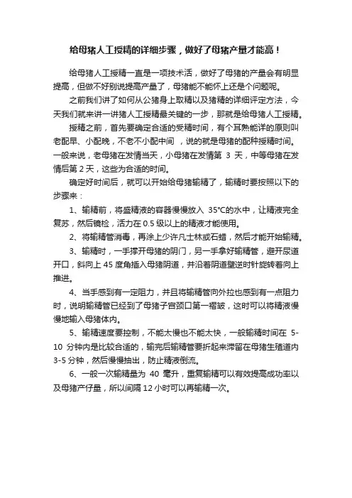给母猪人工授精的详细步骤，做好了母猪产量才能高！