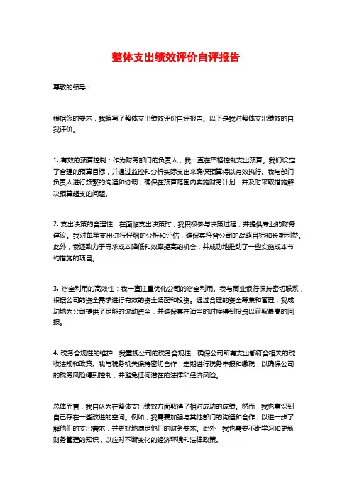 整体支出绩效评价自评报告