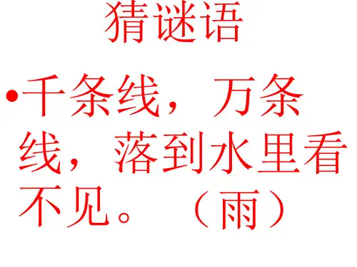 我的雨量器 课件