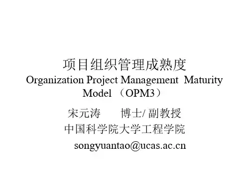 4+组织级项目组织管理成熟度(OPM3)