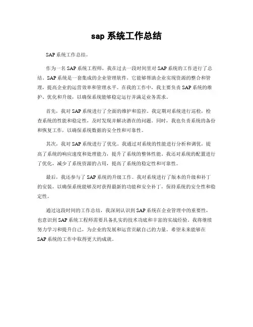 sap系统工作总结