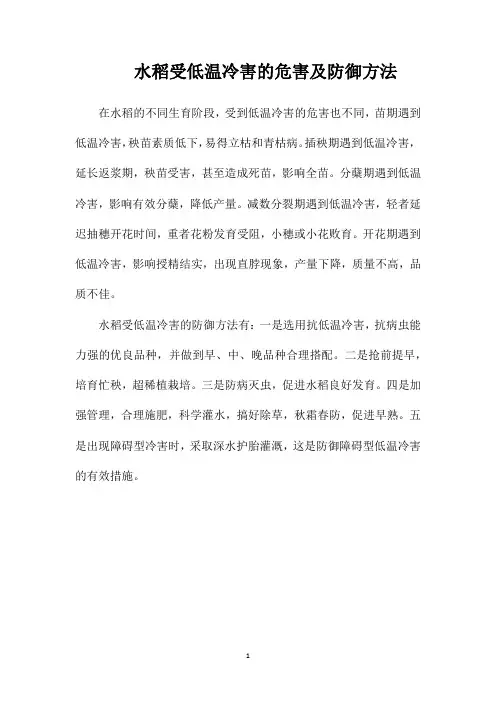 水稻受低温冷害的危害及防御方法