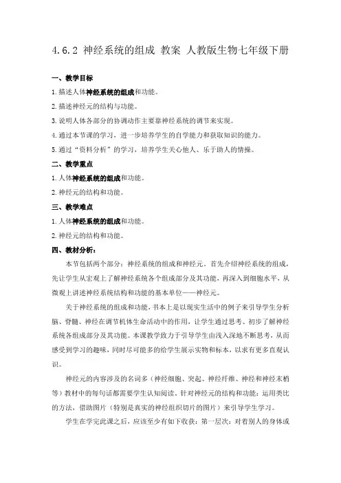 4.6.2 神经系统的组成 教案 人教版生物七年级下册