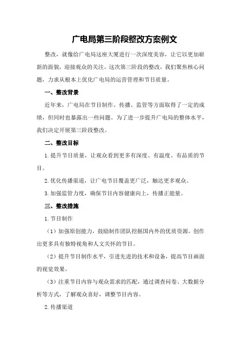 广电局第三阶段整改方案例文