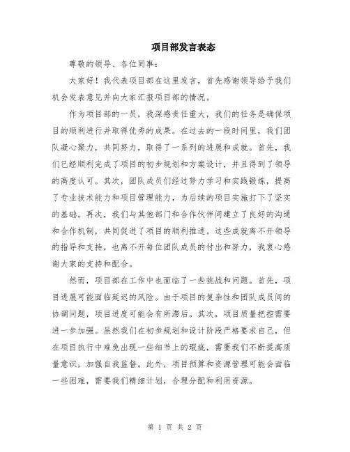 项目部发言表态