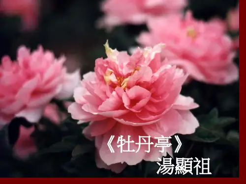 牡丹亭ppt解析 