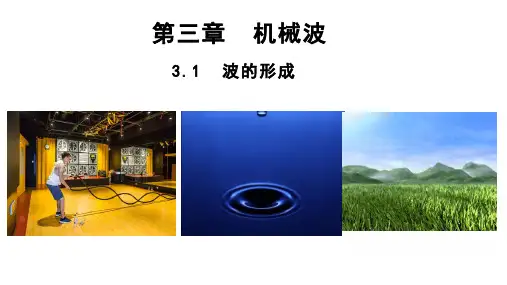 波的形成课件-2022-2023学年高二上学期物理人教版(2019)选择性必修第一册