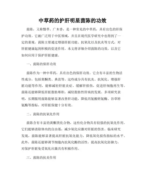 中草药的护肝明星茵陈的功效