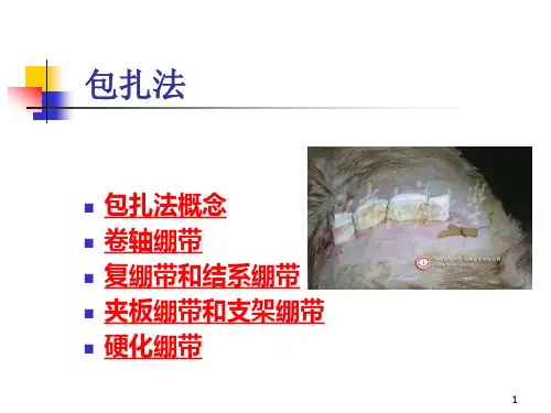 包扎法ppt课件