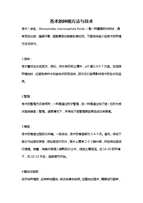 苍术的种植方法与技术