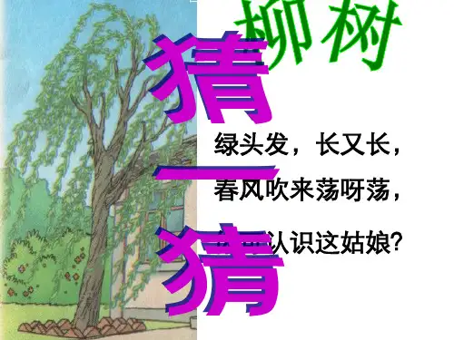人教版小学语文二年级上册课件-15小柳树和小枣树ppt课件3