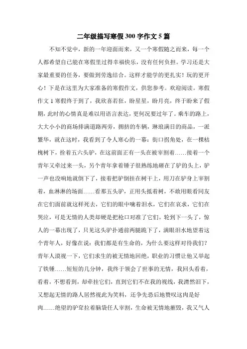 二年级描写寒假300字作文5篇