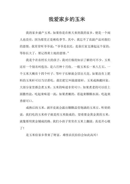 我爱家乡的玉米