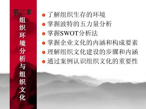 3 组织环境分析与组织文化