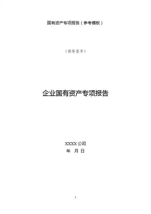国有资产专项报告(参考模板)