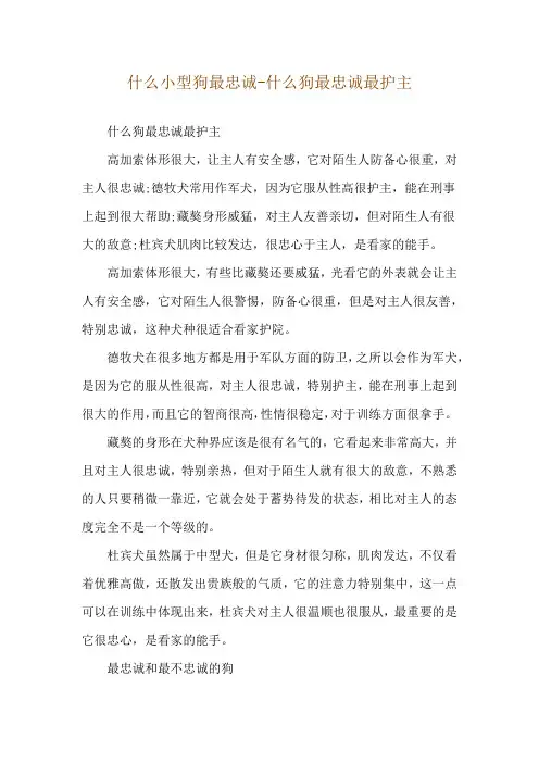 什么小型狗最忠诚-什么狗最忠诚最护主