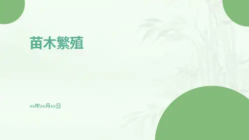 苗木繁殖-精品文档