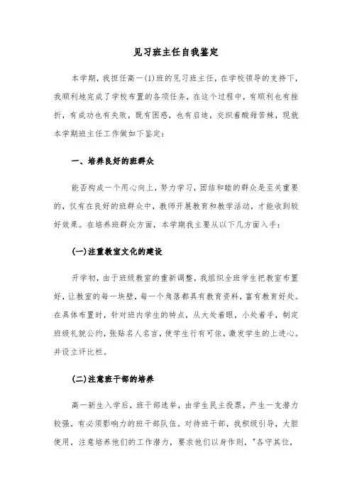 见习班主任自我鉴定（2篇）