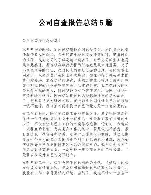 公司自查报告总结