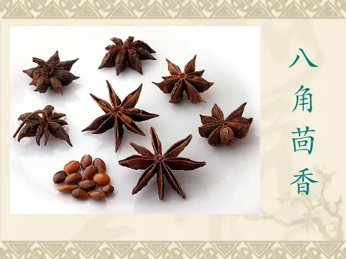 八角茴香综述