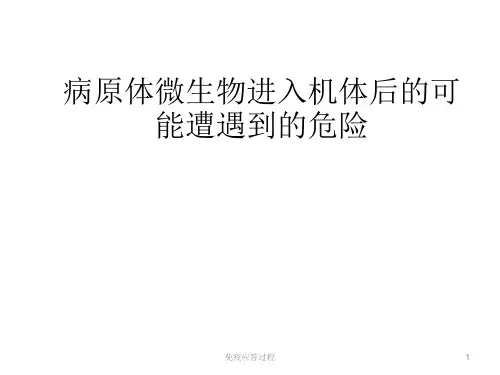 免疫应答过程ppt课件