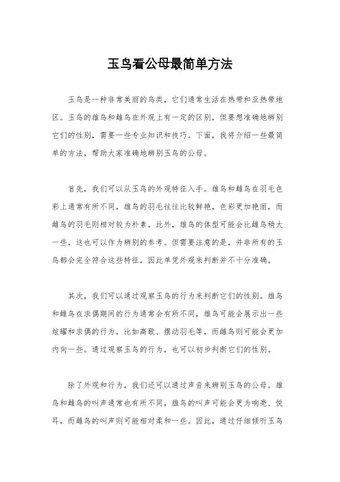 玉鸟看公母最简单方法