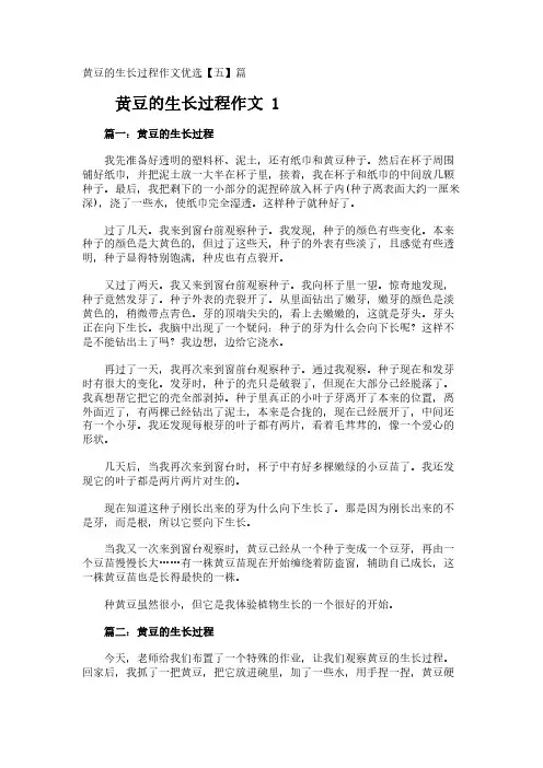 黄豆的生长过程作文优选【五】篇
