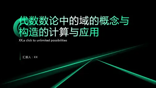 代数数论中的域的概念与构造的计算与应用